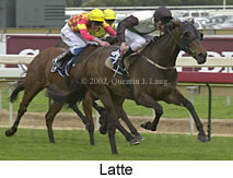 r6latte2.jpg (13389 bytes)