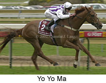 r8yoyoma.jpg (12658 bytes)