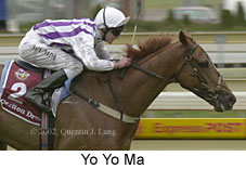 r8yoyoma2.jpg (12236 bytes)