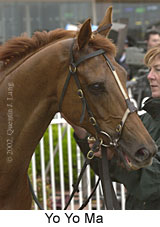 r8yoyoma3.jpg (12114 bytes)