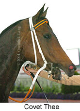 Covet Thee (16193 bytes)