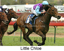 Little Chloe (16193 bytes)