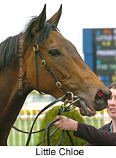 Little Chloe (16193 bytes)