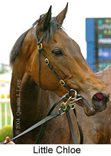 Little Chloe (16193 bytes)