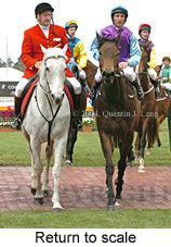 Return to scale (16492 bytes)