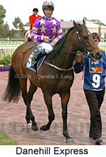 Danehill Express (16193 bytes)