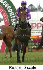 Return to scale (16492 bytes)