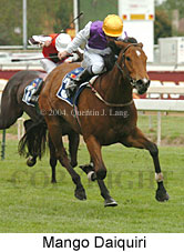 Mango Daiquiri (16193 bytes)