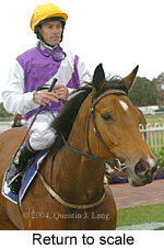 Return to scale (16492 bytes)