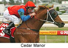 Cedar Manor (16193 bytes)