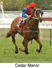 Cedar Manor (16193 bytes)