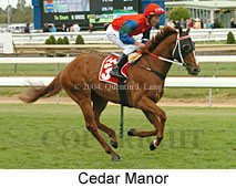Cedar Manor (16193 bytes)