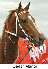 Cedar Manor (16193 bytes)