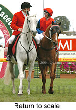 Return to scale (16492 bytes)