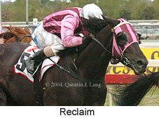 Reclaim (16193 bytes)