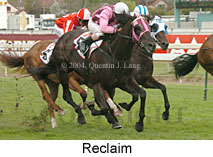 Reclaim (16193 bytes)