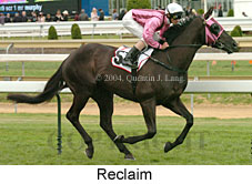 Reclaim (16193 bytes)