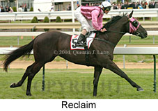 Reclaim (16193 bytes)