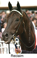 Reclaim (16193 bytes)