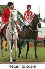 Return to scale (15070 bytes)