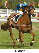 Lilando (16193 bytes)