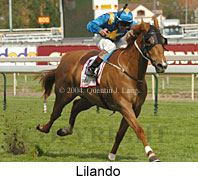 Lilando (16193 bytes)