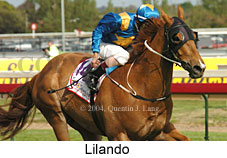 Lilando (16193 bytes)