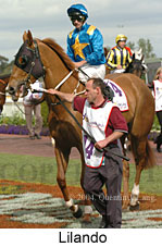 Lilando (16193 bytes)