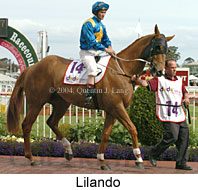 Lilando (16193 bytes)