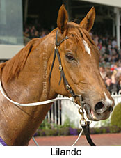 Lilando (16193 bytes)