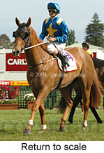 Return to scale (15070 bytes)