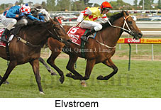 Elvstroem (16193 bytes)