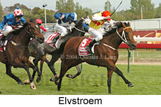 Elvstroem (16193 bytes)