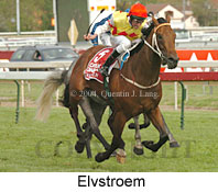 Elvstroem (16193 bytes)