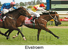 Elvstroem (16193 bytes)