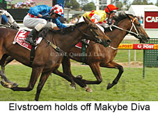 Elvstroem (16193 bytes)