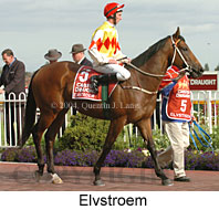 Elvstroem (16193 bytes)