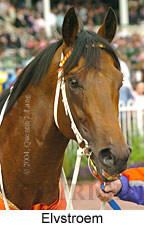 Elvstroem (16193 bytes)