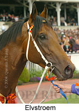 Elvstroem (16193 bytes)