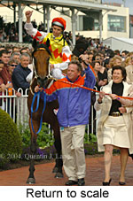 Return to scale (16492 bytes)