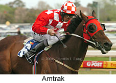 Amtrak (16193 bytes)