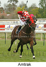 Amtrak (16193 bytes)