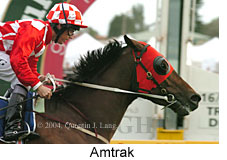 Amtrak (16193 bytes)