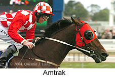 Amtrak (16193 bytes)