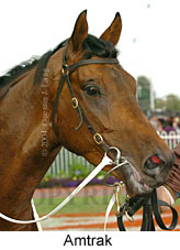 Amtrak (16193 bytes)