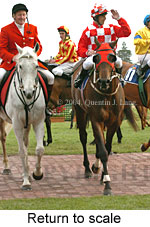 Return to scale (16492 bytes)