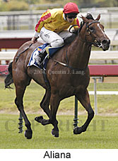 Aliana (16429 bytes)