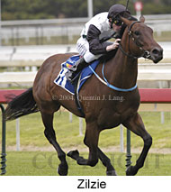 Zilzie (14953 bytes)