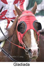 Gladiada (14256 bytes)