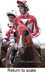 Return to scale (13579 bytes)